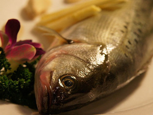 鱸魚