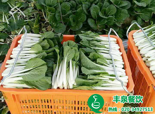 蔬菜配送解決食堂難題 企業(yè)學(xué)校食堂承包管理的好方法